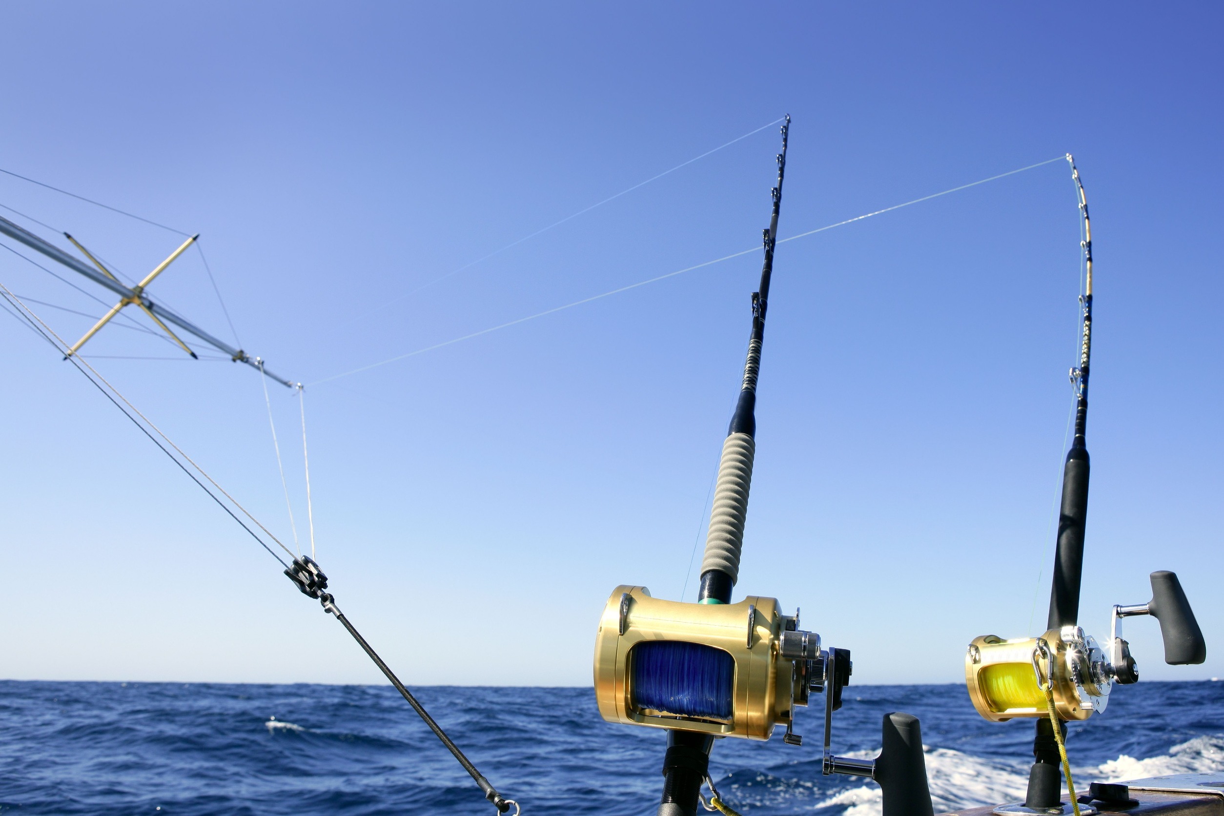 Two fishing rods with gold reels are set up on a boat, capturing a scene of deep-sea fishing. The clear blue sky and ocean stretch out in the background, conveying a tranquil marine setting.