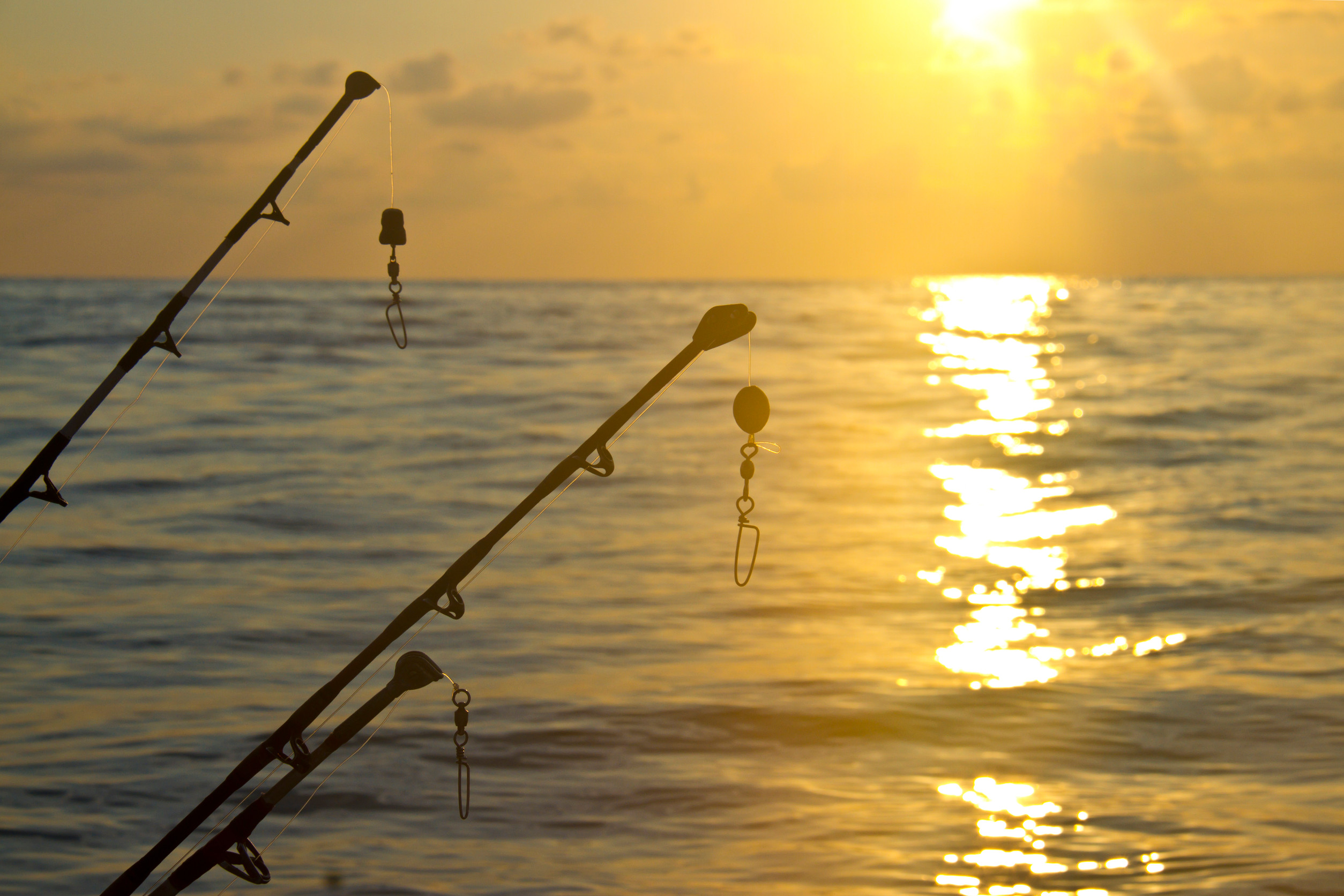 Two fishing rods extend over a calm ocean, silhouetted against a golden sunset. The sun reflects off the water, creating a serene, warm atmosphere.