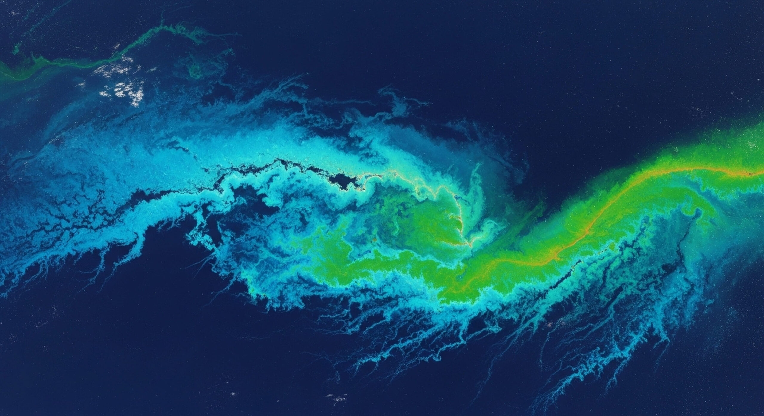Why the Gulf Stream Makes Hillsboro Inlet Fishing So Productive