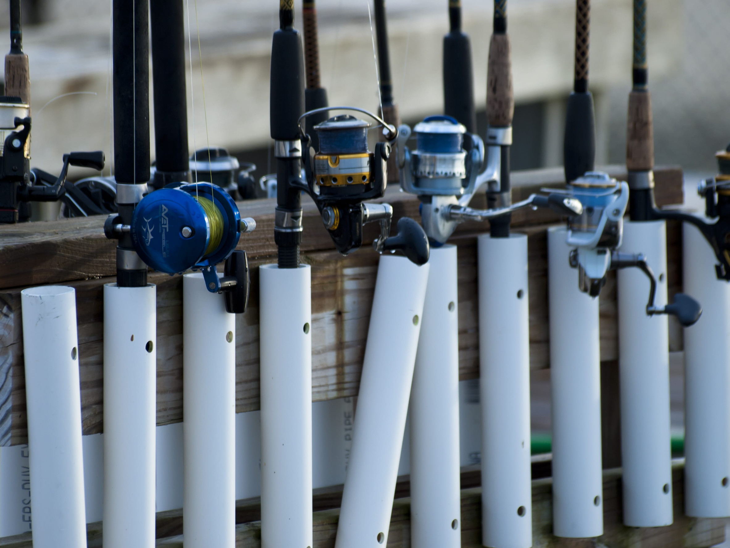 Bottom Fishing South Florida: Discover What Lies Below